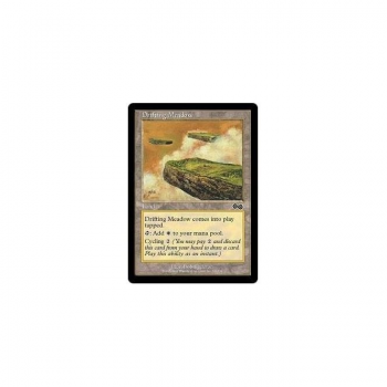 Drifting Meadow : URZA'S SAGA 320/350 - Magic the Gathering Single Card