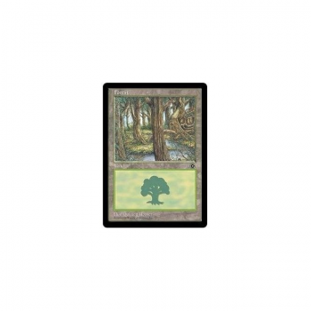 Forest : PORTAL SECOND AGE 049/165 - Magic the Gathering Single Card