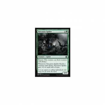 Netcaster Spider : DUEL DECKS: ELSPETH VS. KIORA 49/67 - Magic the Gathering Single Card