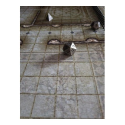 Giant Book of Battle Mats (Fantasy A3) - Image 3