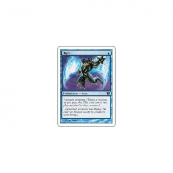 Flight : NINTH EDITION 079/350 - Magic the Gathering Single Card