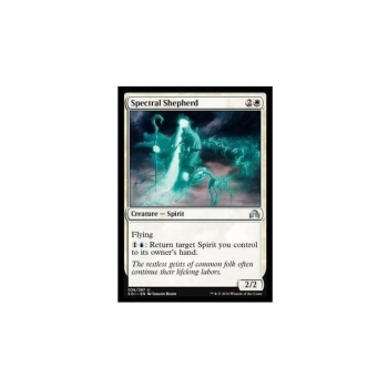 Spectral Shepherd : SHADOWS OVER INNISTRAD 038/297 - Magic the Gathering Single Card