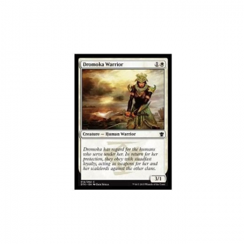 Dromoka Warrior : DRAGONS OF TARKIR 014/264 - Magic the Gathering Single Card