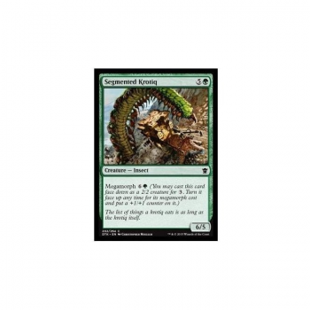Segmented Krotiq : DRAGONS OF TARKIR 202/264 - Magic the Gathering Single Card