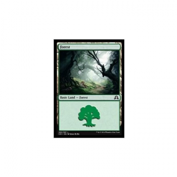 Forest : SHADOWS OVER INNISTRAD 295/297 - Magic the Gathering Single Card