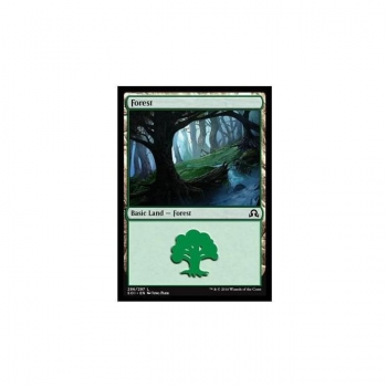 Forest : SHADOWS OVER INNISTRAD 296/297 - Magic the Gathering Single Card