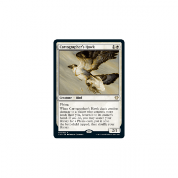 Cartographer's Hawk : COMMANDER 2020 024/274 - Magic the Gathering Single Card