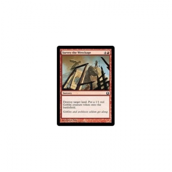 Survey the Wreckage : RETURN TO RAVNICA 107/274 - Magic the Gathering Single Card