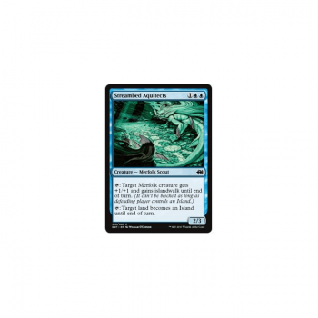 Streambed Aquitects : DUEL DECKS: MERFOLK VS. GOBLINS 18/63 - Magic the Gathering Single Card