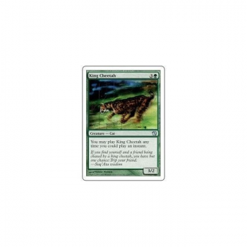 King Cheetah : NINTH EDITION 250/350 - Magic the Gathering Single Card