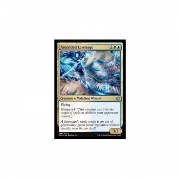 Ascended Lawmage : CONSPIRACY: TAKE THE CROWN 198/221 - Magic the Gathering Single Card
