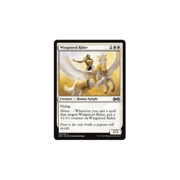 Wingsteed Rider (FOIL) : ULTIMATE MASTERS 043/254 - Magic the Gathering Single Card