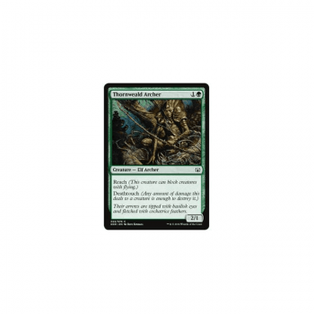 Thornweald Archer : DUEL DECKS: NISSA VS. OB NIXILIS 22/76 - Magic the Gathering Single Card