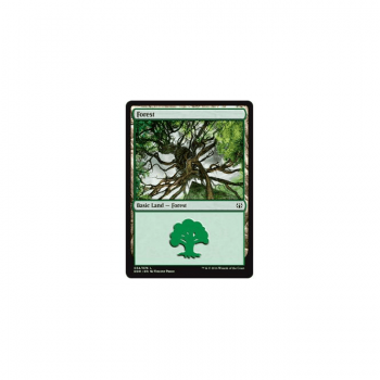 Forest : DUEL DECKS: NISSA VS. OB NIXILIS 34/76 - Magic the Gathering Single Card