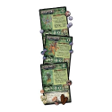 Shadows of Brimstone : Feral Vampires Mission Pack - Image 2