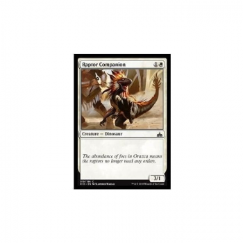Raptor Companion : RIVALS OF IXALAN 019/196 - Magic the Gathering Single Card