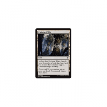 Evolving Wilds : DUEL DECKS: ZENDIKAR VS. ELDRAZI 31/80 - Magic the Gathering Single Card