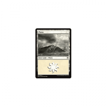 Plains : DUEL DECKS: ZENDIKAR VS. ELDRAZI 36/80 - Magic the Gathering Single Card