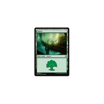 Forest : DUEL DECKS: ZENDIKAR VS. ELDRAZI 38/80 - Magic the Gathering Single Card