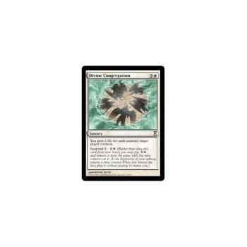 Divine Congregation : TIME SPIRAL 013/301 - Magic the Gathering Single Card