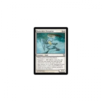 Duskrider Peregrine : TIME SPIRAL 014/301 - Magic the Gathering Single Card