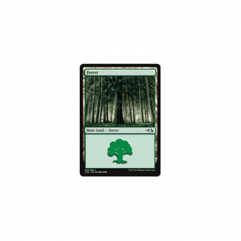 Forest : ANTHOLOGY ELVES VS. GOBLINS 28/62 - Magic the Gathering Single Card