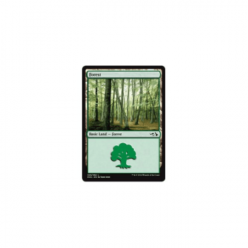 Forest : ANTHOLOGY ELVES VS. GOBLINS 29/62 - Magic the Gathering Single Card