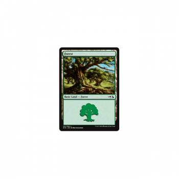 Forest : ANTHOLOGY ELVES VS. GOBLINS 30/62 - Magic the Gathering Single Card