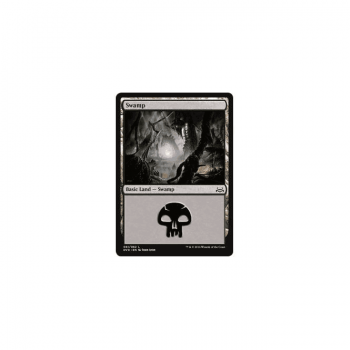 Swamp : ANTHOLOGY DIVINE VS. DEMONIC 59/62 - Magic the Gathering Single Card