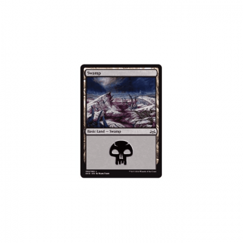 Swamp : ANTHOLOGY DIVINE VS. DEMONIC 60/62 - Magic the Gathering Single Card