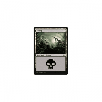 Swamp : ANTHOLOGY DIVINE VS. DEMONIC 61/62 - Magic the Gathering Single Card