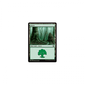 Forest : ANTHOLOGY GARRUK VS. LILIANA 29/62 - Magic the Gathering Single Card