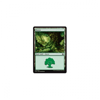 Forest : ANTHOLOGY GARRUK VS. LILIANA 31/62 - Magic the Gathering Single Card
