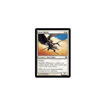 Aven Squire : CONFLUX 003/145 - Magic the Gathering Single Card