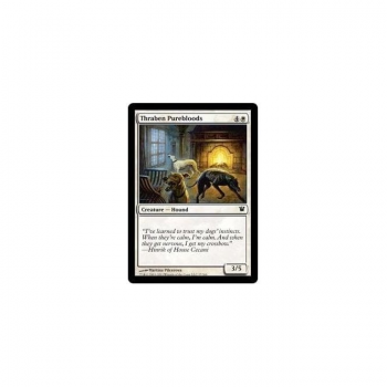 Thraben Purebloods : INNISTRAD 037/264 - Magic the Gathering Single Card