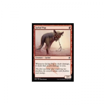 Jackal Pup : MASTERS 25 139/249 - Magic the Gathering Single Card