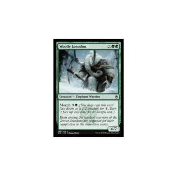 Woolly Loxodon (FOIL) : MASTERS 25 195/249 - Magic the Gathering Single Card