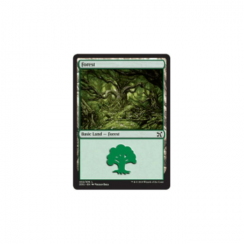 Forest : DUEL DECKS: ELVES VS. INVENTORS 32/76 - Magic the Gathering Single Card