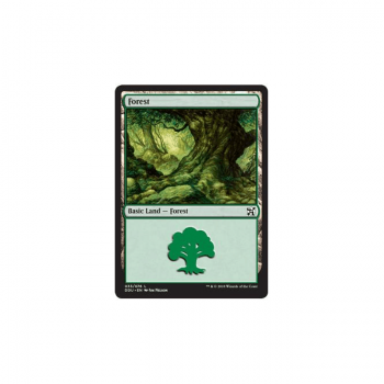 Forest : DUEL DECKS: ELVES VS. INVENTORS 33/76 - Magic the Gathering Single Card