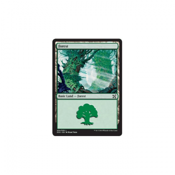 Forest : DUEL DECKS: ELVES VS. INVENTORS 34/76 - Magic the Gathering Single Card