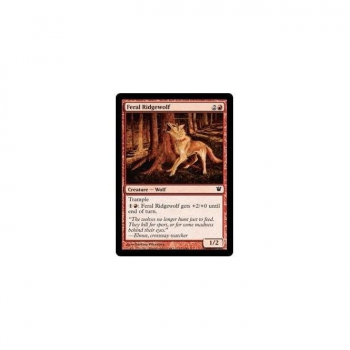 Feral Ridgewolf : INNISTRAD 142/264 - Magic the Gathering Single Card