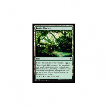 Fertile Thicket (FOIL) : BATTLE FOR ZENDIKAR 237/274 - Magic the Gathering Single Card