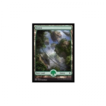 Forest (Full art) (FOIL) : BATTLE FOR ZENDIKAR 271/274 - Magic the Gathering Single Card