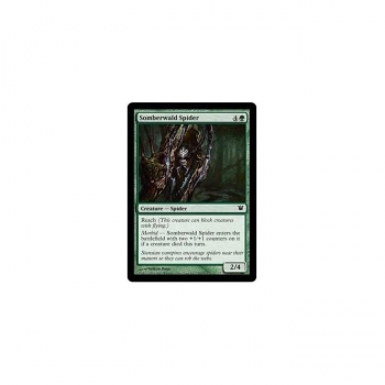 Somberwald Spider : INNISTRAD 202/264 - Magic the Gathering Single Card
