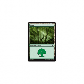 Forest : COMMANDER 2015 339/370 - Magic the Gathering Single Card