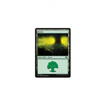 Forest : COMMANDER 2015 341/370 - Magic the Gathering Single Card