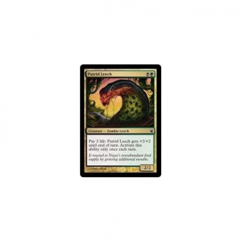 Putrid Leech : DUEL DECKS: IZZET VS. GOLGARI 53/90 - Magic the Gathering Single Card