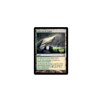 Saltcrusted Steppe : TIME SPIRAL 277/301 - Magic the Gathering Single Card