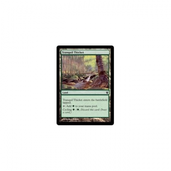 Tranquil Thicket : DUEL DECKS: IZZET VS. GOLGARI 82/90 - Magic the Gathering Single Card